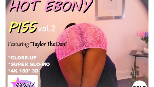 Hot Ebony "P" Vol. 2