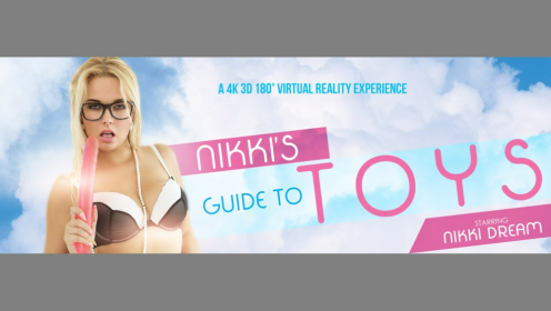 Nikky Dream's Hot VR Toy Play Guide
